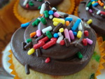 cupcake colorfull