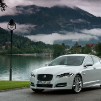 So alive with nature.........