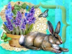 Spring Bunny