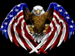 American Bald Eagle~Freedom