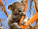 KRAZY KOALA