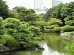 Shinjuku Gyoen