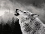 HOWLING WOLF