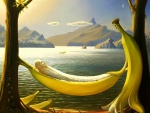 Banana Hammock