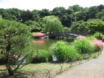 Shinjuku Gyoen