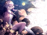 âœ½ âœ½ Cherry Blossoms