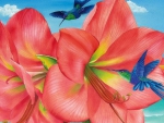 hummingbirds and amaryllis