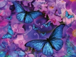 BLUE BUTTERFLIES