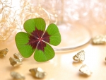 Four Leaf Clover~Good Luck