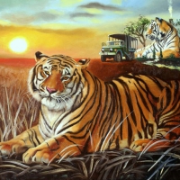 â˜…Tiger Cabinâ˜…