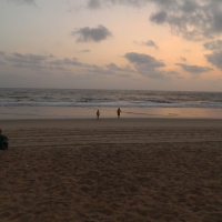 GOA