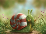 The Elephant Snail :)