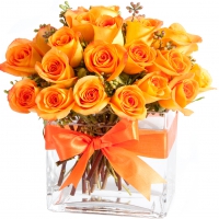 Orange roses in bright vase
