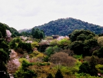 Kiyomizu-dera Temple