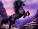 Dark unicorn