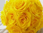Yellow Roses â™¥