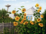 sunflowers