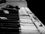 .....piano