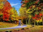 AUTUMN ROAD