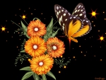 ORANGE BUTTERFLY ON ORANGE DAISIES