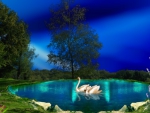 ~*~ Romantic Swans Couple ~*~