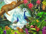 Animals Paradise