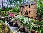 SPRING from the OLD MILL