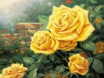 Beautiful yellow roses in the garden