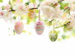 Easter Eggs and Blossoms