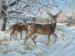 The Winter Deer