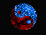 Ying Yang