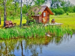 CABIN from a POND