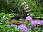Spring Waterfall~Butchart Gardens