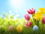 Easter & Spring