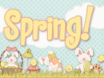 SPRING SIGN