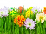 Easter Eggs and Spring Flowers