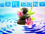 HARMONY ~