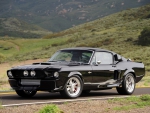 Shelby Mustang
