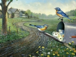 Bluebirds of Spring F1