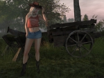 Cowgirl Fantasy