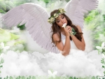 *Living with angel wings*