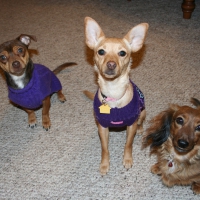 Oliver, Lucy and Zoey