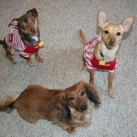 Zoey, Oliver and Lucy