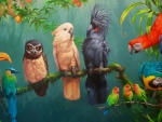 Birds on branch