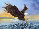 Bald Eagle Hunting