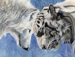 WOLF AND TIGER ART
