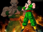 Tien Shinhan Wallpaper