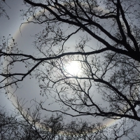 Solar halo ~