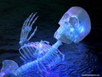 Blue Skeleton