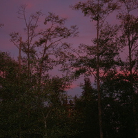 Purple Sunset over Camano Island
